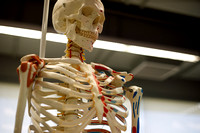 Biomechanics