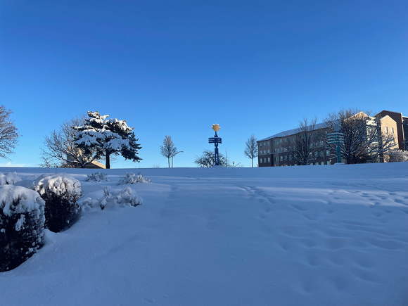 250110_SnowDay25_7619